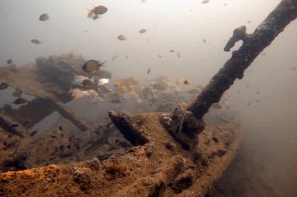 SS Orestes
