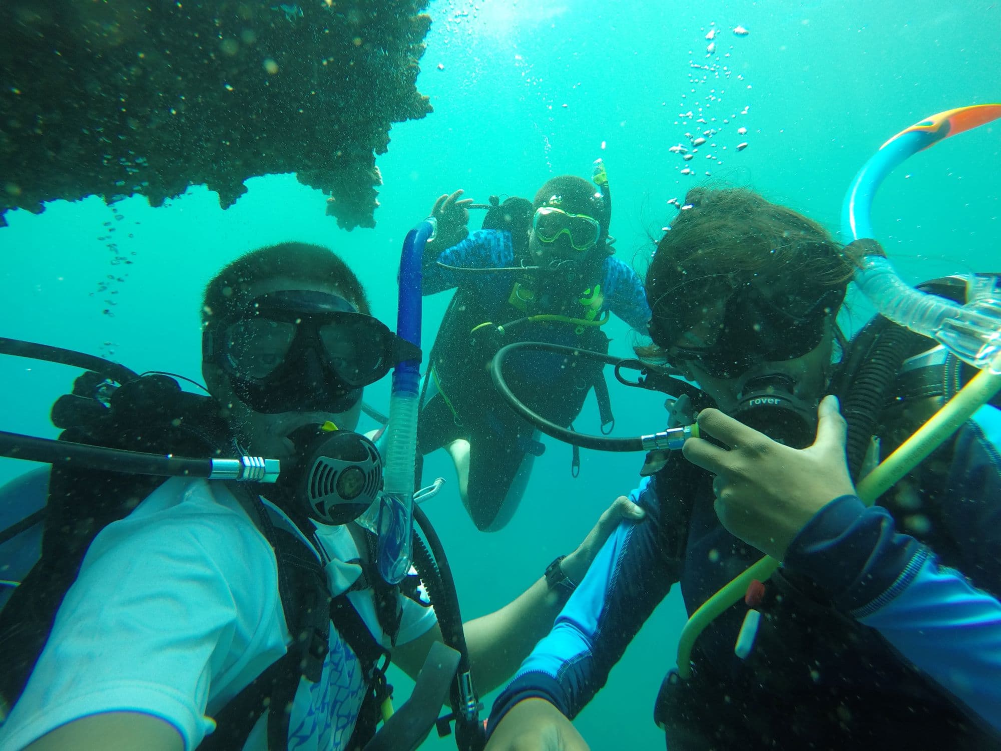 A Beginner’s Guide to Scuba Diving