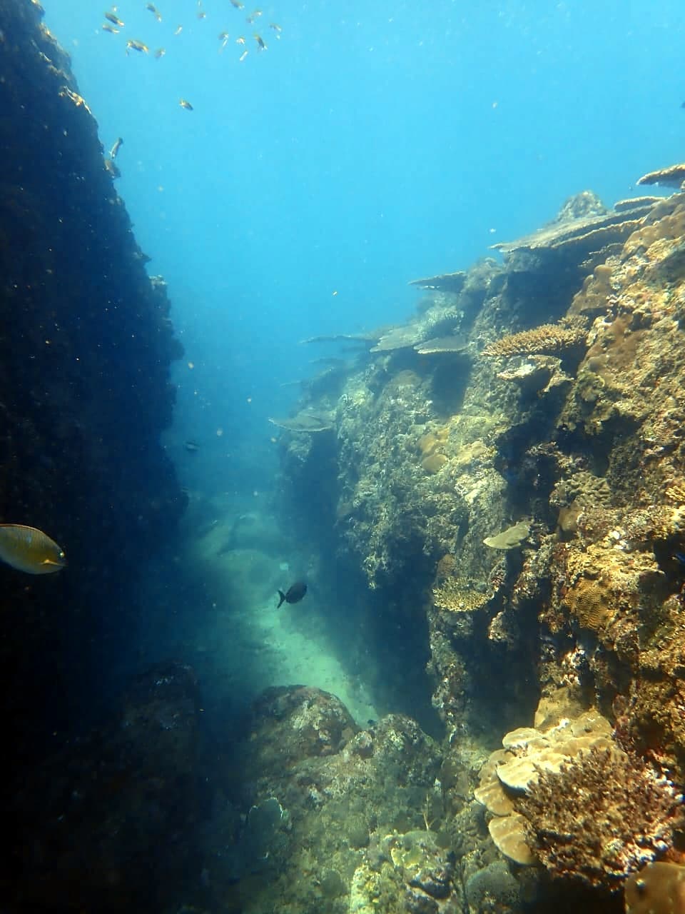 Narrow coral swim-through channel - Trincomalee by Samith (Sam) Fernando