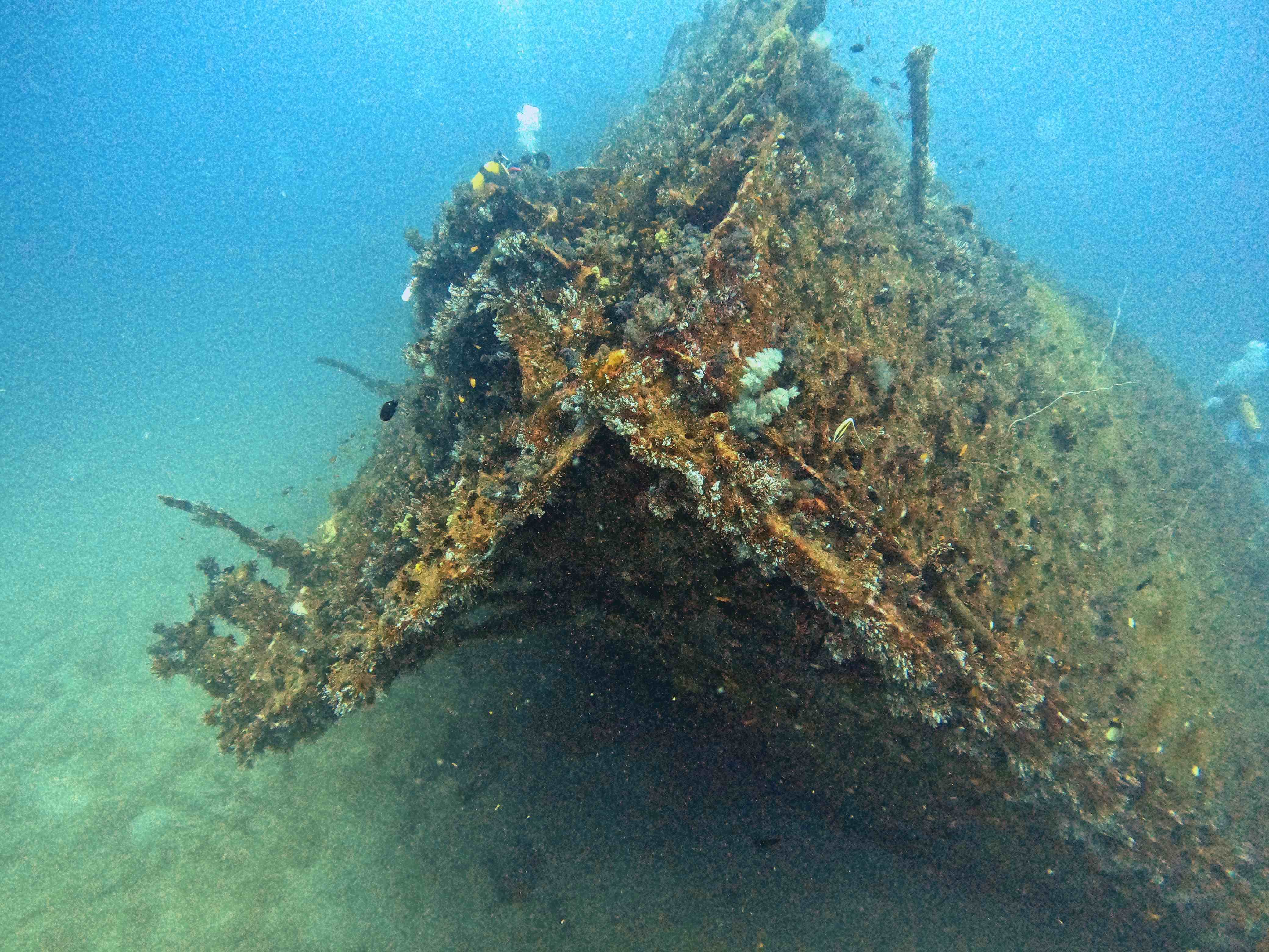 Exploring Wreck Diving Adventures